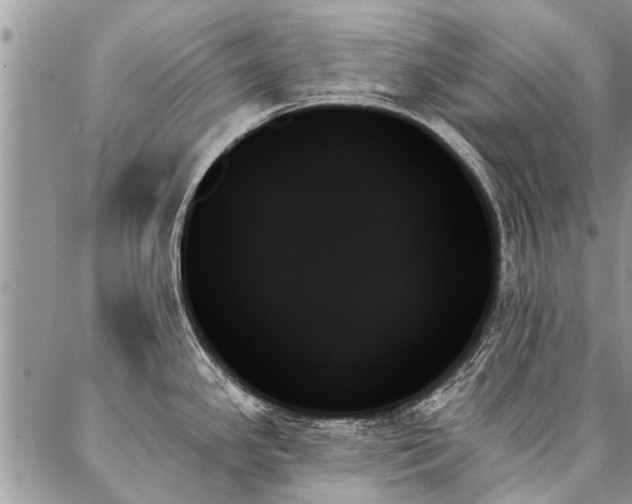 X0000087351341200704201112