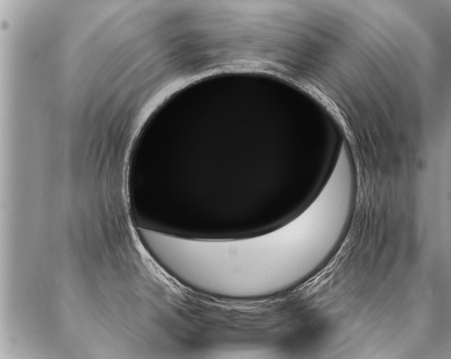 X0000087351342200704201112