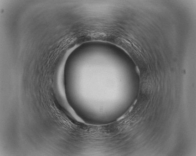 X0000087351345200704201112