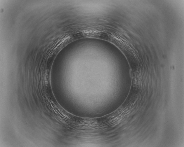 X0000087351346200704201112