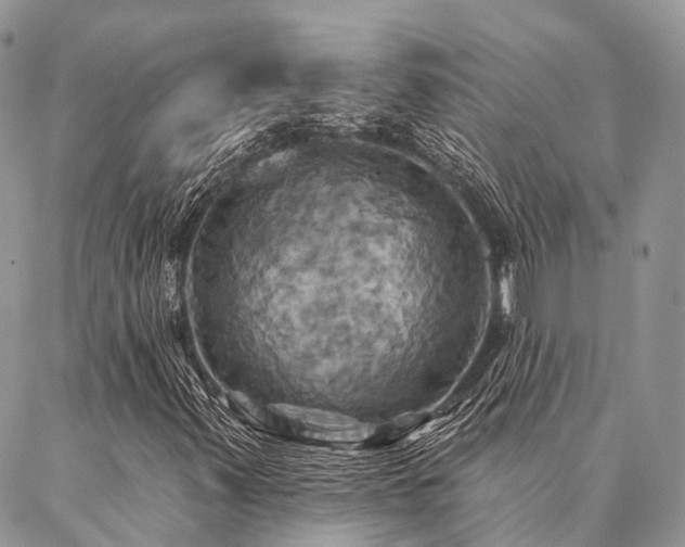 X0000087351347200704201112