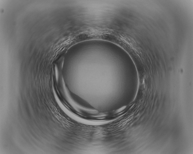X0000087351348200704201112
