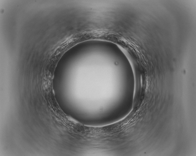 X0000087351349200704201112