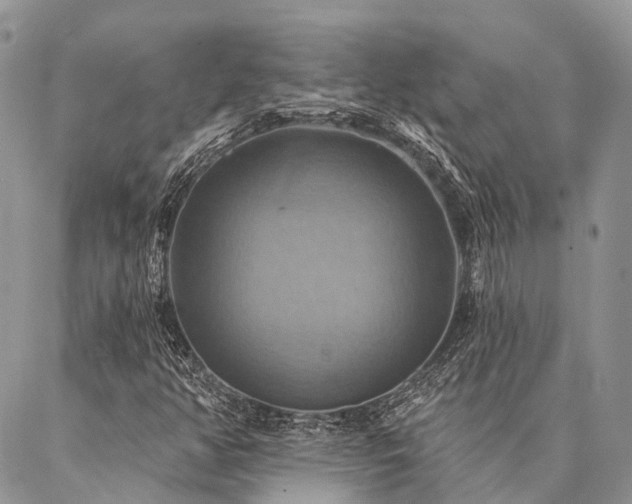 X0000087351350200704201112