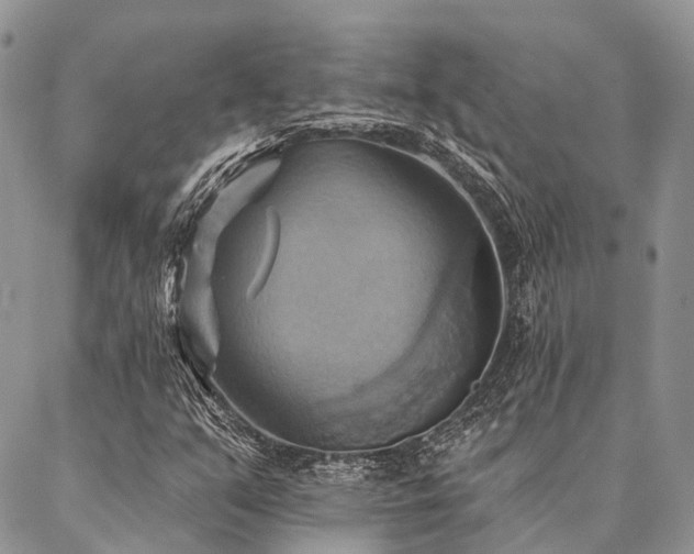 X0000087351351200704201112