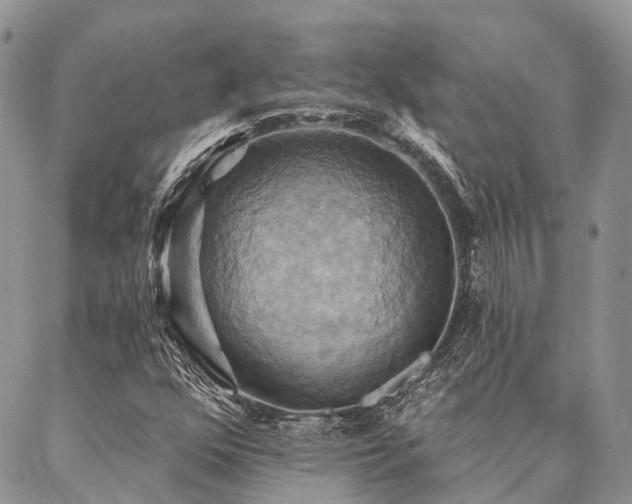 X0000087351352200704201112