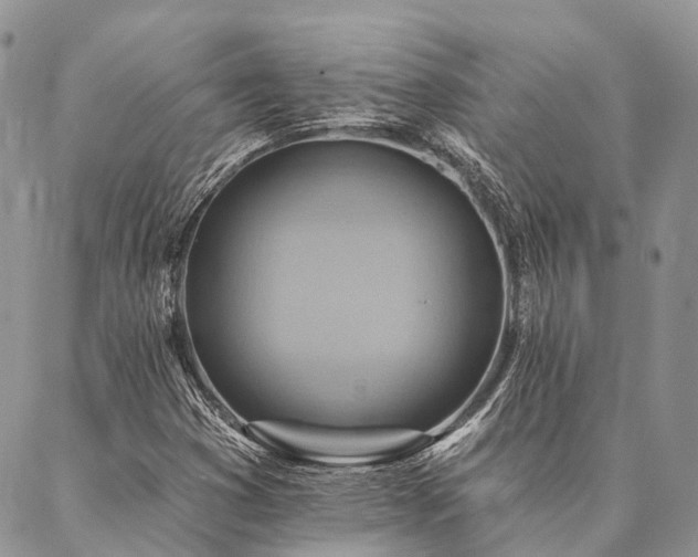 X0000087351353200704201112