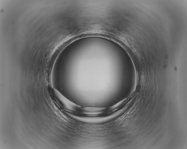 X0000087351356200704201111