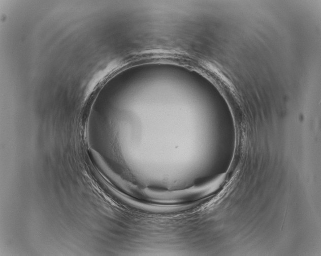 X0000087351357200704201111