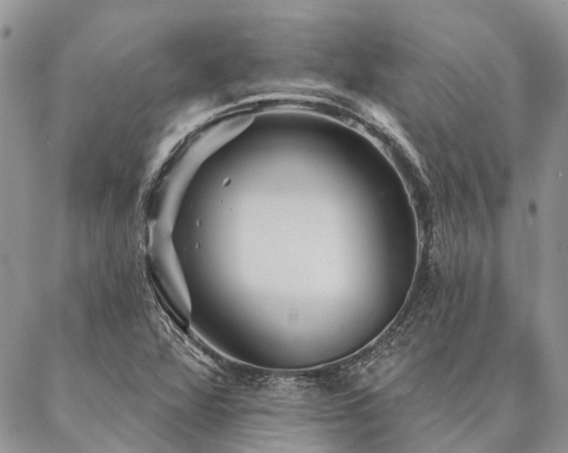 X0000087351360200704201111