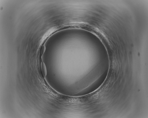 X0000087351362200704201111