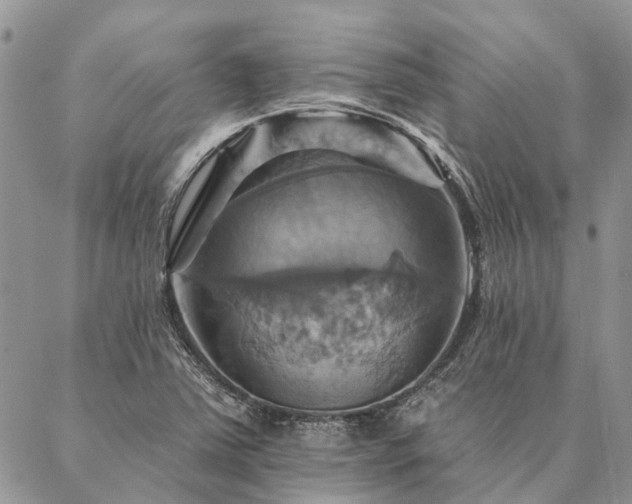 X0000087351363200704201111