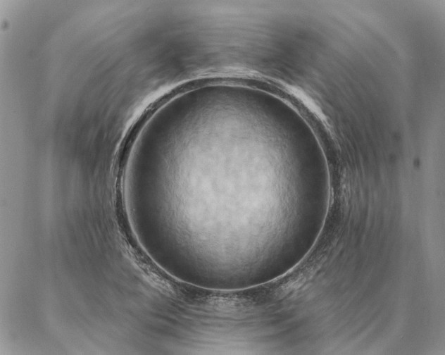 X0000087351364200704201111