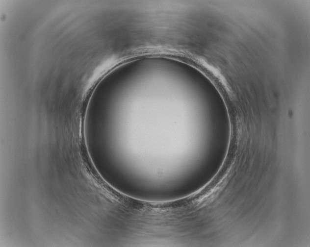 X0000087351365200704201111