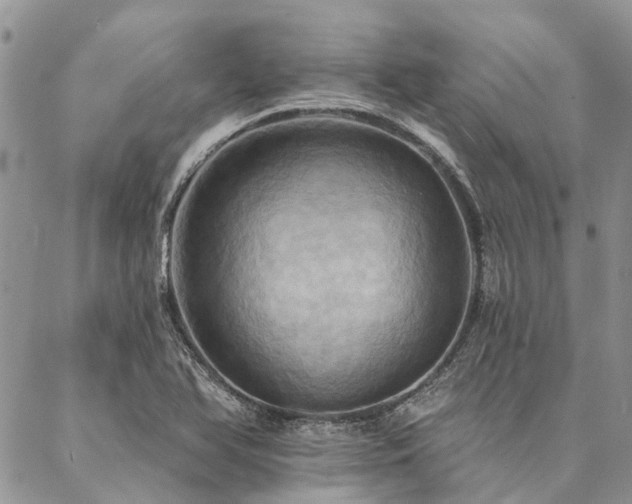 X0000087351366200704201111
