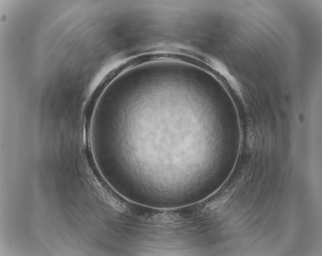 X0000087351368200704201111