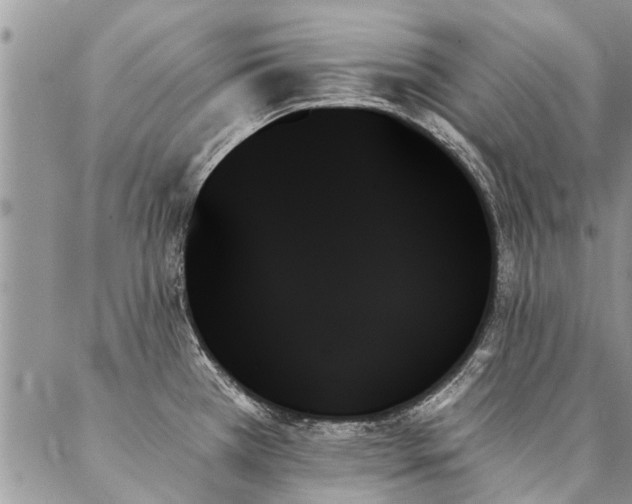 X0000087351385200704201111