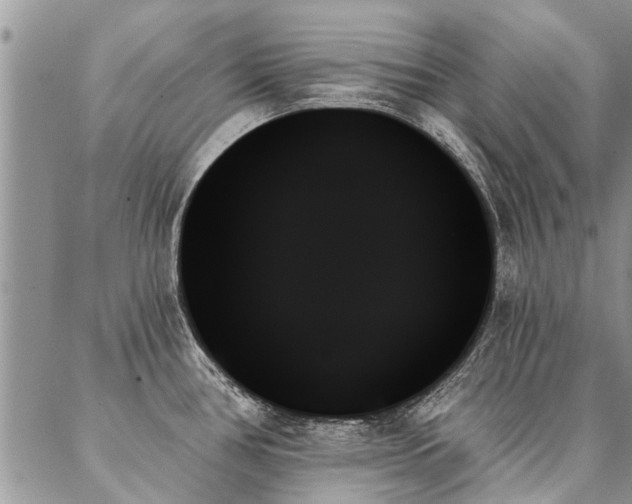 X0000087351386200704201111