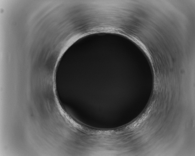 X0000087351389200704201111