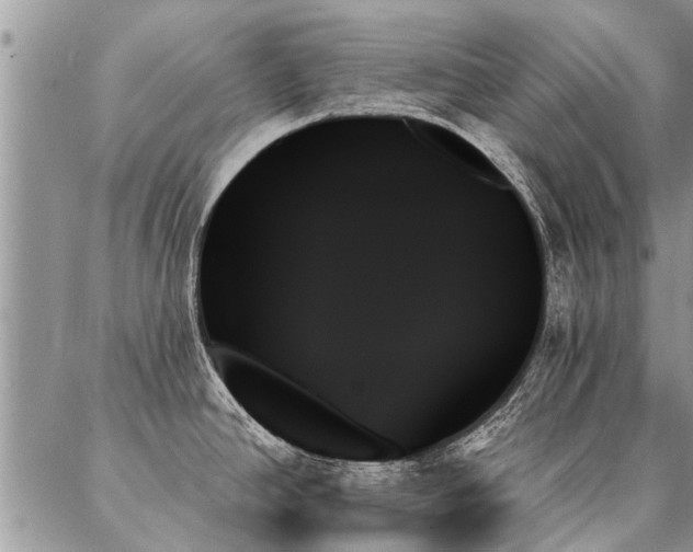 X0000087351390200704201111