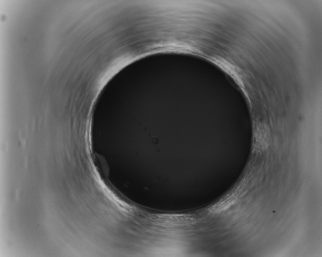 X0000087351391200704201111