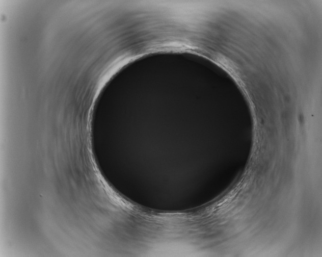 X0000087351392200704201111