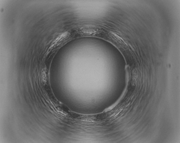 X0000087351394200704201110