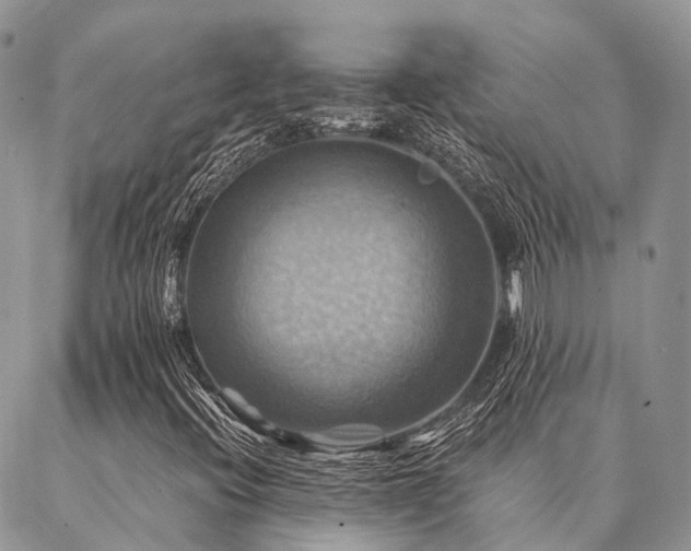 X0000087351396200704201110