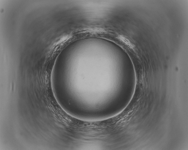 X0000087351398200704201110