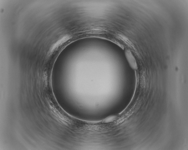 X0000087351402200704201110