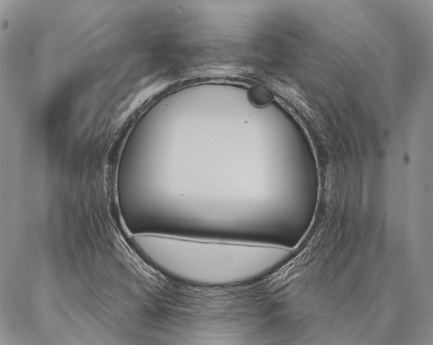 X0000087351404200704201110