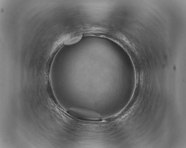 X0000087351405200704201110