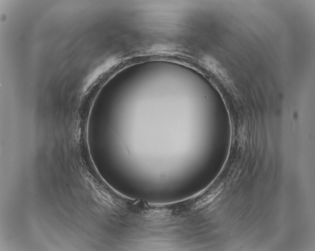X0000087351406200704201110