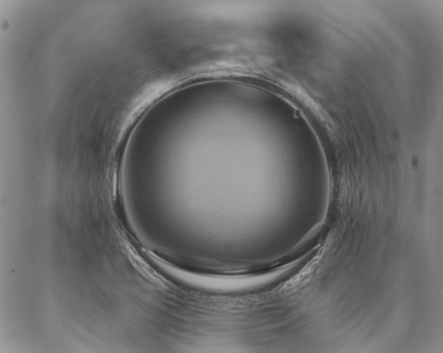 X0000087351413200704201110