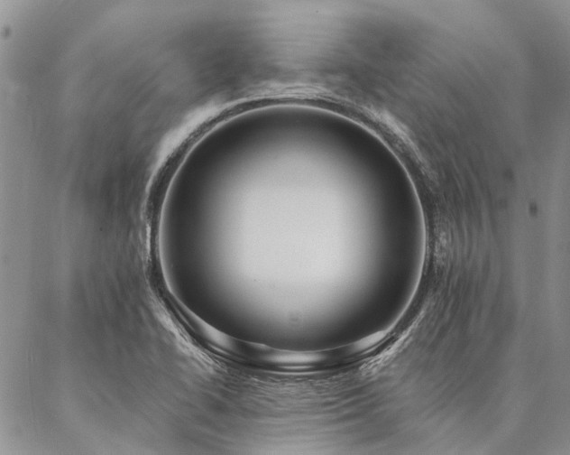 X0000087351414200704201110