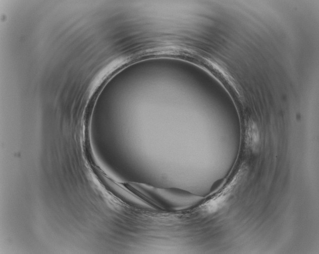 X0000087351418200704201111