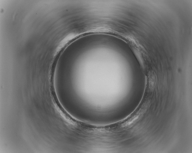 X0000087351422200704201111