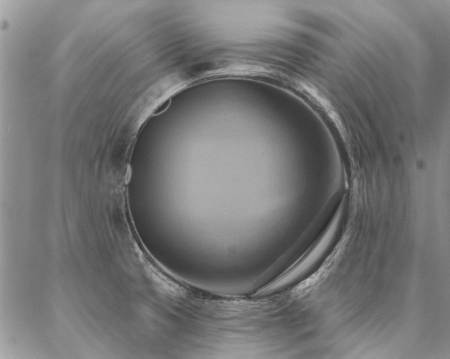 X0000087351425200704201111