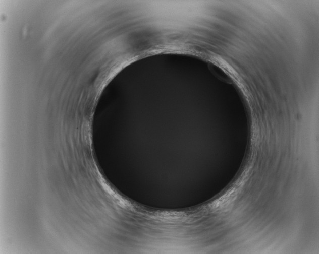 X0000087351433200704201111