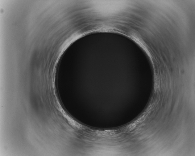 X0000087351437200704201111