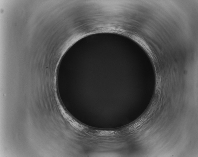 X0000087351439200704201111