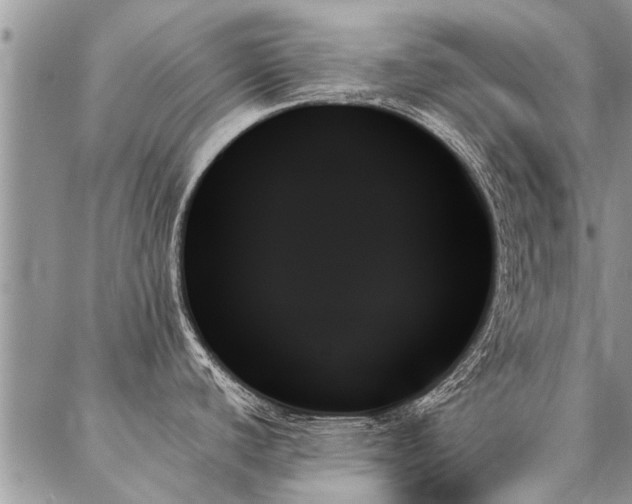 X0000087351440200704201111