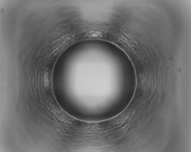 X0000087351442200704201110