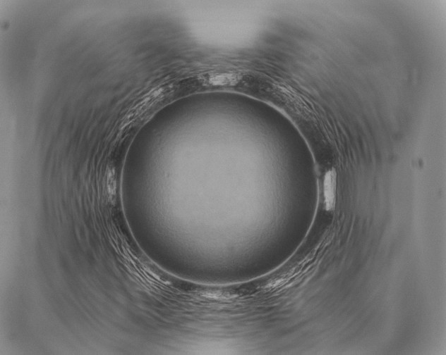 X0000087351443200704201110