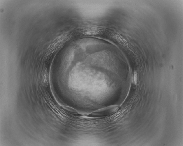 X0000087351444200704201110