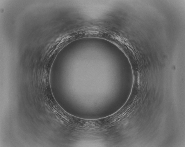 X0000087351445200704201110
