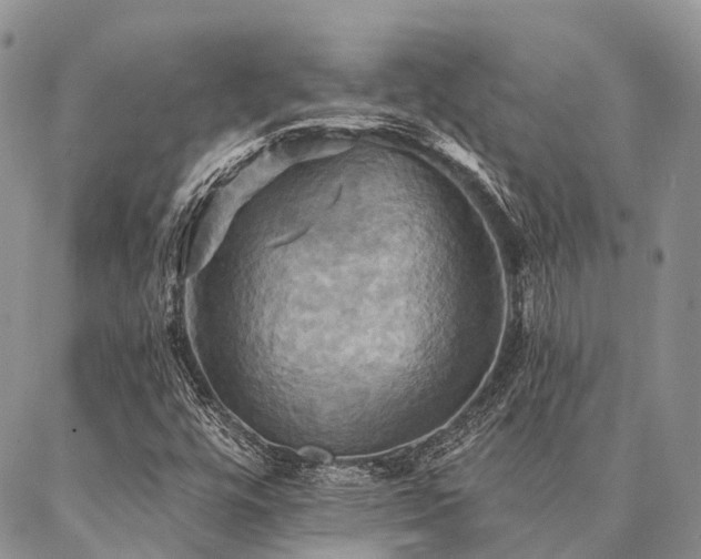 X0000087351448200704201110