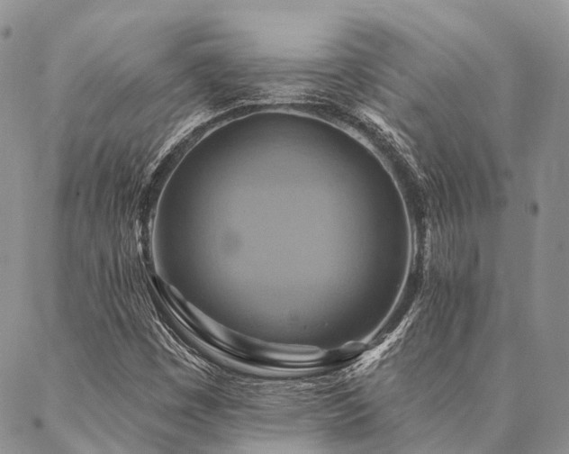 X0000087351449200704201110