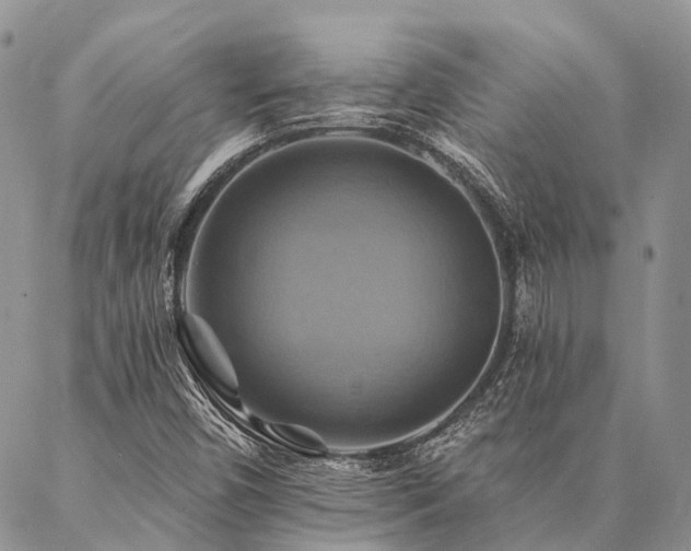 X0000087351450200704201110