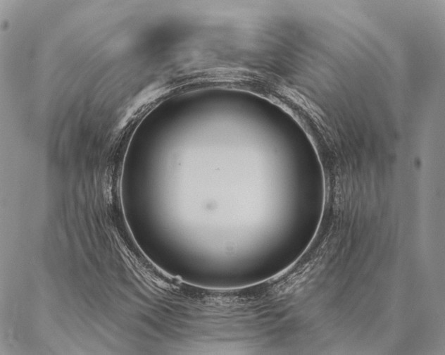 X0000087351451200704201110